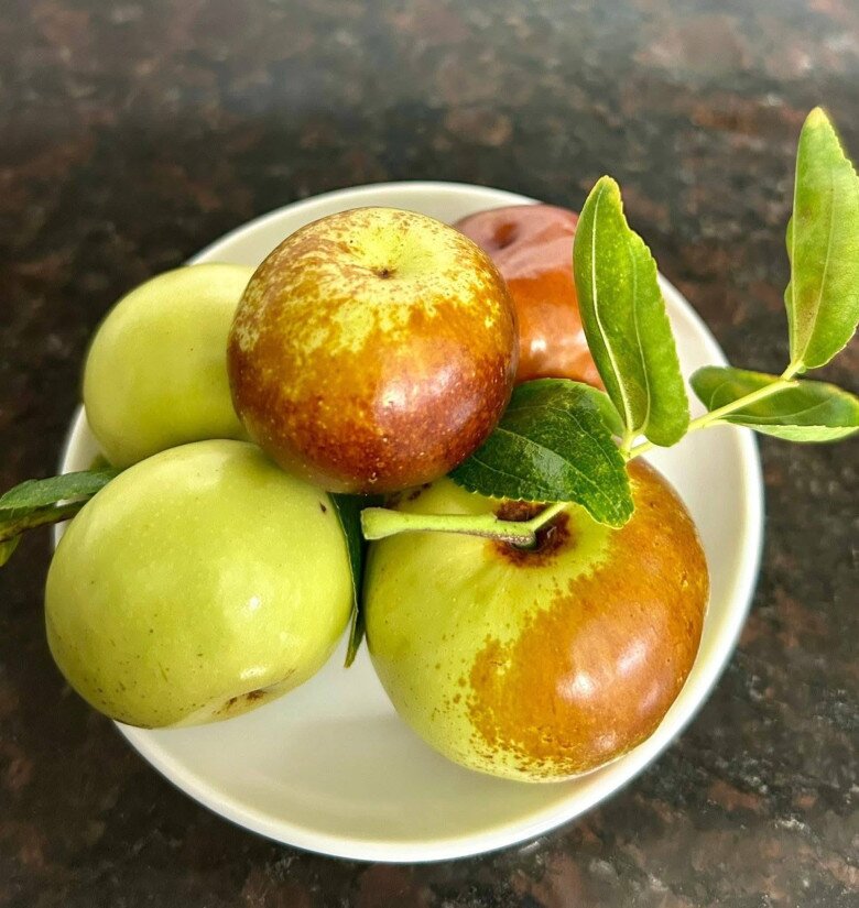 Loại quả lọt top tốt trên thế giới trồng thành công ở Việt Nam, là đặc sản nổi tiếng 200.000 đ/kg, tốt cho sức khỏe - 2