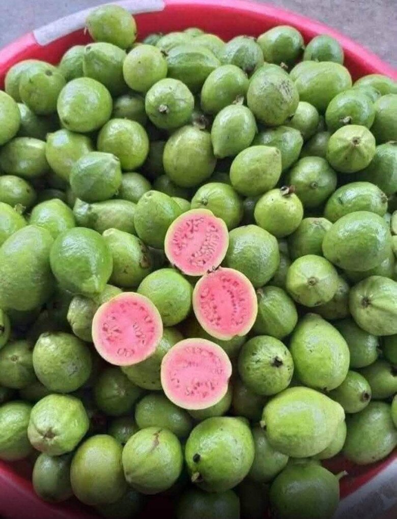Loại quả tốt trên thế giới, Việt Nam trồng bạt ngàn thành đặc sản chỉ từ 25.000 đ/kg, thu hoạch nhiều năm - 2