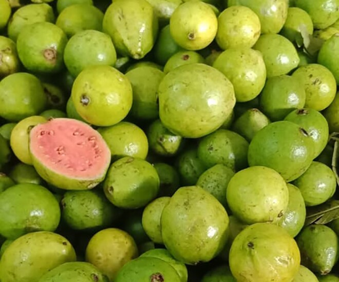 Loại quả tốt trên thế giới, Việt Nam trồng bạt ngàn thành đặc sản chỉ từ 25.000 đ/kg, thu hoạch nhiều năm - 1