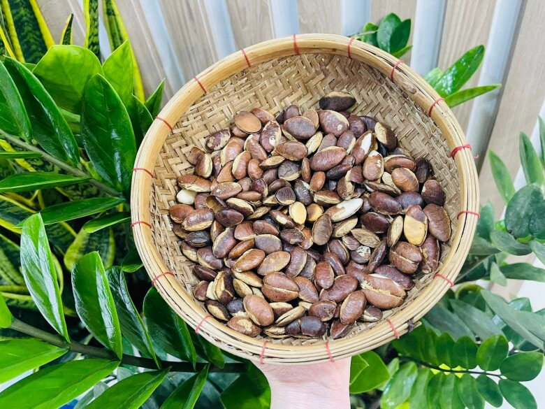 Loại quả xưa chín rụng đầy, nay thành đặc sản được ưa chuộng giá 150.000 đ/kg, trồng một lần thu hoạch nhiều năm - 3