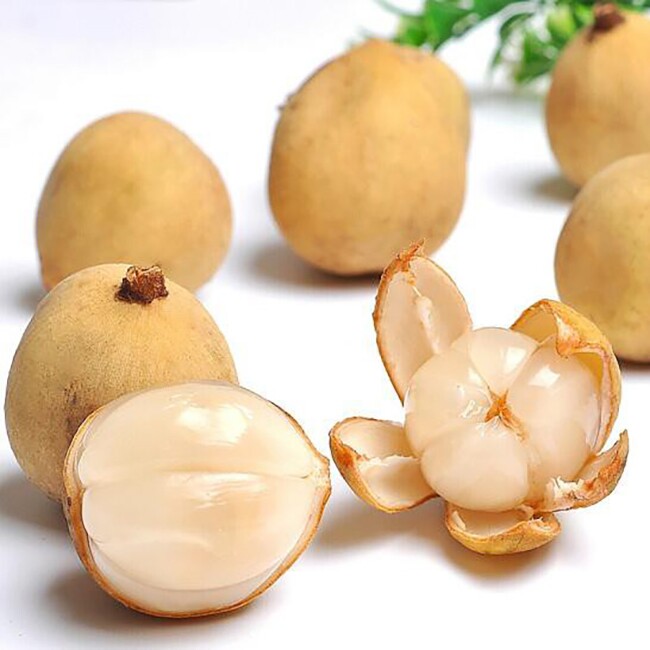 Loại quả xưa chín rụng đầy nay thành đặc sản giá 90.000 đ/kg, trồng một lần thu hoạch nhiều năm, tốt cho sức khỏe - 4