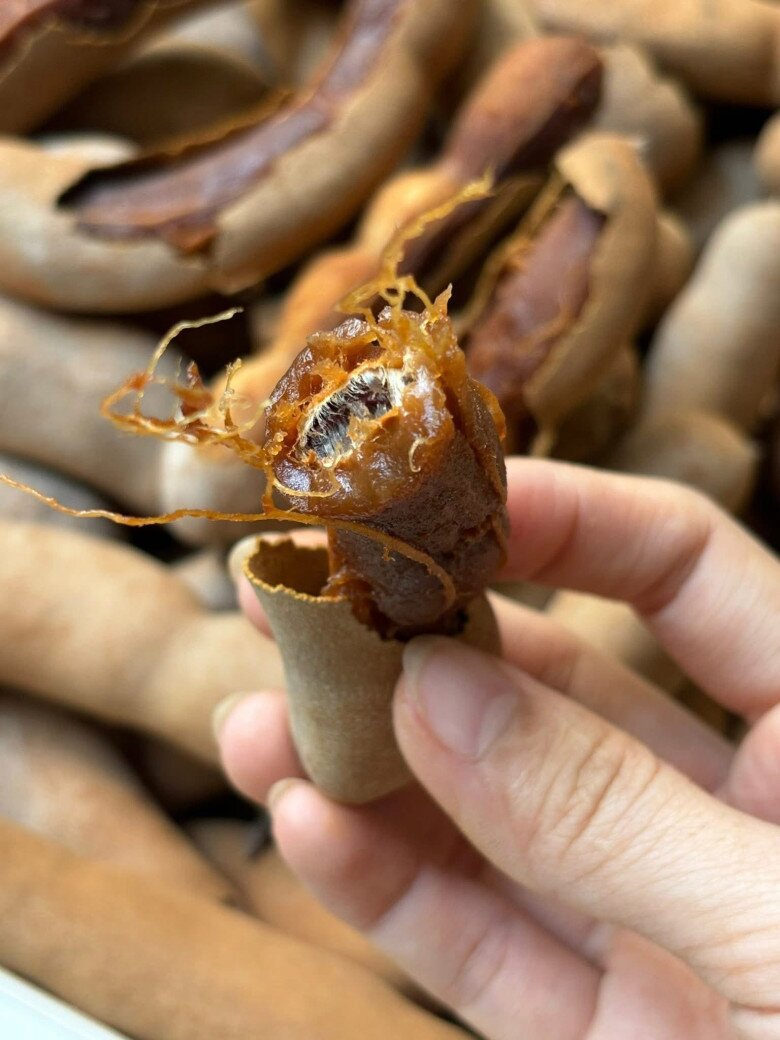 Loại quả mọc bờ rào xưa chín rụng đầy gốc, nay thành đặc sản được ưa chuộng giá 140.000 đ/kg, trồng một lần thu hoạch nhiều năm - 5