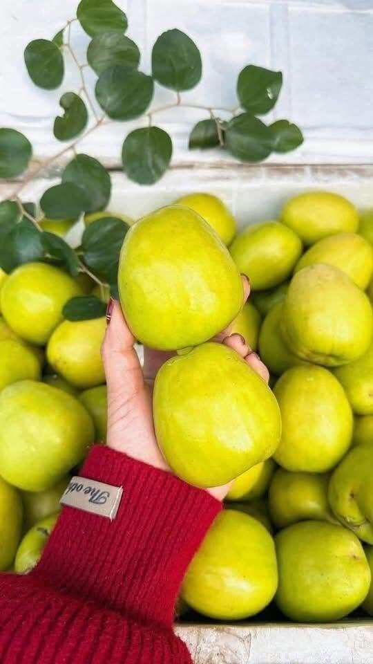 Loại quả lọt top tốt trên thế giới có ở Bắc Ninh, là đặc sản được ưa chuộng giá 50.000 đ/kg, trồng một lần thu hoạch nhiều năm - 2