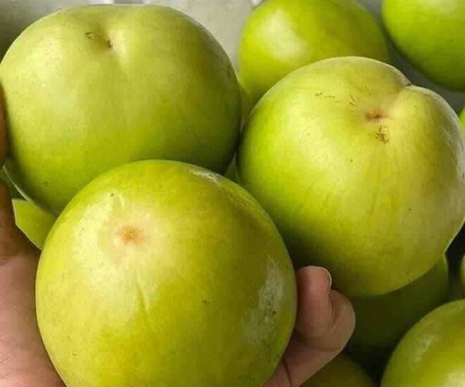 Loại quả lọt top tốt trên thế giới có ở Bắc Ninh, là đặc sản được ưa chuộng giá 50.000 đ/kg, trồng một lần thu hoạch nhiều năm - 1