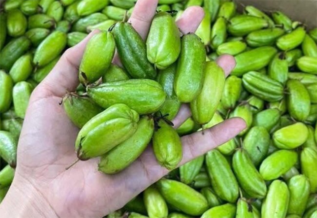 Loại quả xưa chín rụng đầy nay thành đặc sản giá 150.000 đ/kg, trồng một lần thu hoạch nhiều năm, tốt cho sức khỏe - 4