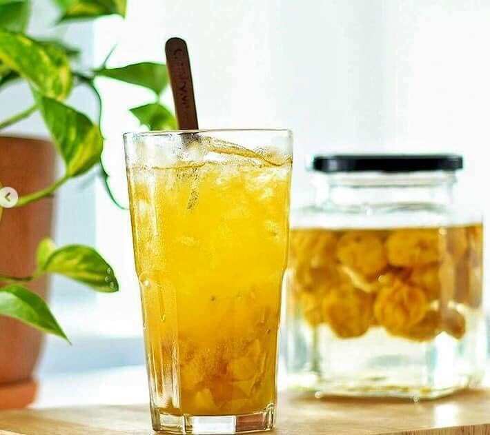 Loại quả xưa chín rụng đầy gốc, nay thành đặc sản ở thành phố giá 90.000 đ/kg, trồng một lần thu hoạch nhiều năm - 4