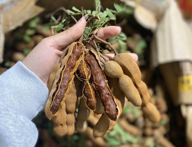Loại quả mọc bờ rào xưa chín rụng đầy gốc, nay thành đặc sản được ưa chuộng giá 140.000 đ/kg, trồng một lần thu hoạch nhiều năm - 3