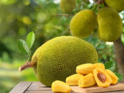 Sức khỏe - Quả mít: Thứ quả dân dã ăn được từ múi đến hạt