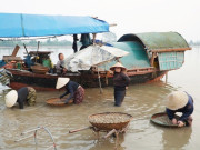 Tin tức - Sống nhờ "lộc nước", dân ven sông La thu nhập hàng triệu đồng từ nghề 300 tuổi