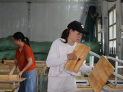 Tin tức - Thầy cô giáo vùng cao hoá thợ điện, thợ hàn sửa bàn ghế, giường tủ trước năm học mới