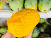 Lifestyle - Loại quả đặc sản Sơn La xưa chín rụng đầy nay bán 45.000 đ/kg, trồng một lần thu hoạch nhiều năm, hương vị đặc biệt