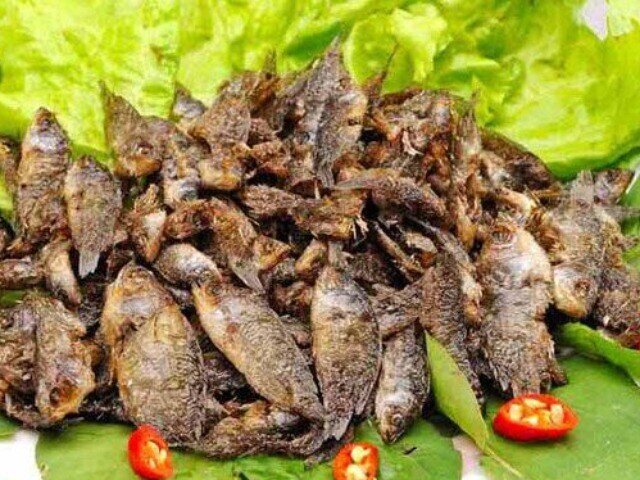 Đặc sản mỗi năm chỉ có một mùa, xưa dành cho amp;#34;người nghèoamp;#34; nay được ưa chuộng ở thành phố giá 120.000 đ/kg, tốt cho sức khỏe - 3