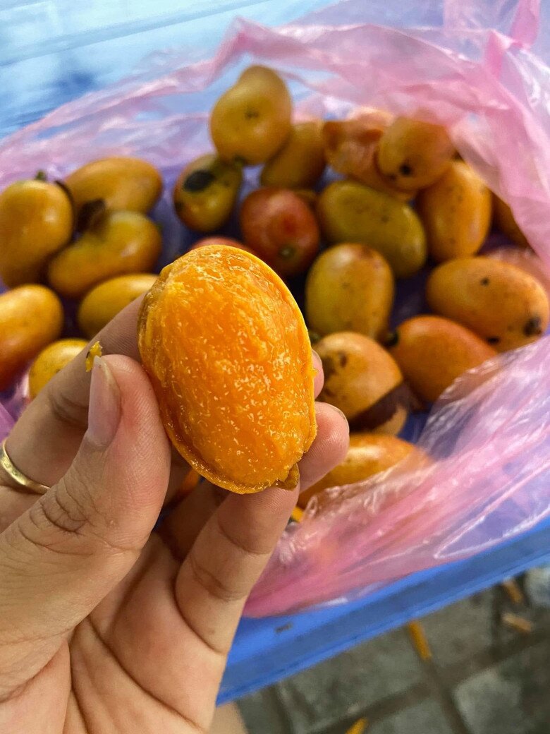 Loại quả đặc sản Sơn La xưa chín rụng đầy nay bán 75.000 đ/kg, trồng một lần thu hoạch nhiều năm, hương vị đặc biệt - 2