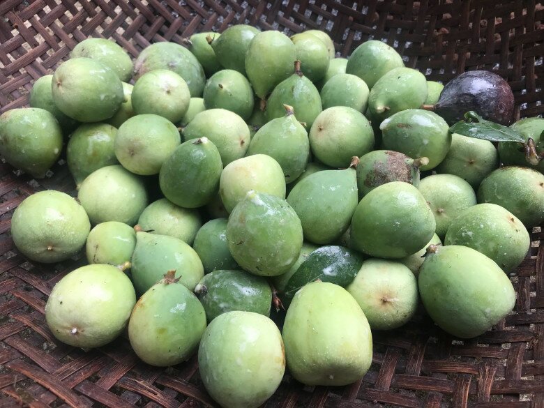 Loại quả đặc sản Cao Bằng xưa chín rụng đầy nay bán 400.000 đ/kg, trồng một lần thu hoạch nhiều năm, du khách thích mê - 4
