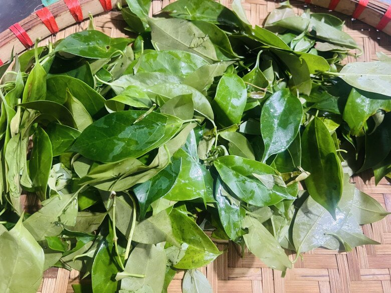 Cây dại mọc bờ rào nay thành đặc sản ở thành phố, trồng 3 tháng cho thu hoạch, giá 150.000 đồng/kg được nhiều người ưa chuộng - 4