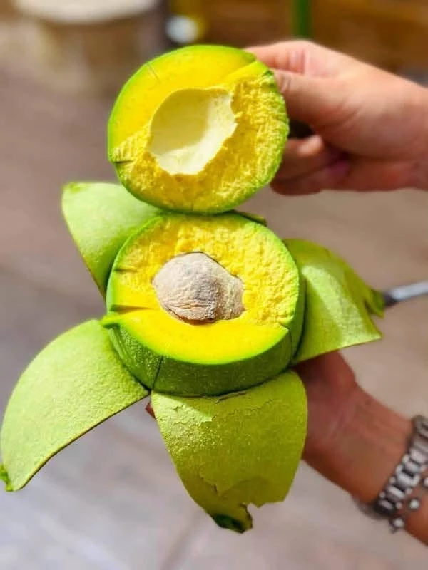 Loại quả tốt trên thế giới, Việt Nam trồng bạt ngàn thu hoạch nhiều năm, đang vào mùa giá 65.000 đ/kg - 3