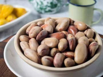 Mùa hè ăn mít đừng vội bỏ hạt, đây mới là phần bổ dưỡng ít người biết giúp bạn sống thọ hơn
