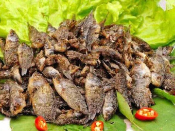 Sức khỏe - Đặc sản mỗi năm chỉ có một mùa, xưa dành cho người nghèo nay được ưa chuộng ở thành phố giá 120.000 đ/kg, tốt cho sức khỏe