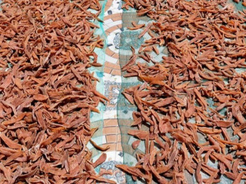 Món xưa "nhà nghèo" ăn đến chán ngán, nay thành đặc sản nổi tiếng giá 170.000 đ/kg, người thành phố ưa chuộng