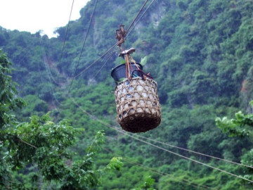 Loại quả xưa chín rụng đầy gốc nay thành đặc sản 200.000 đ/kg, trồng một lần thu hoạch nhiều năm, người thành phố ưa chuộng
