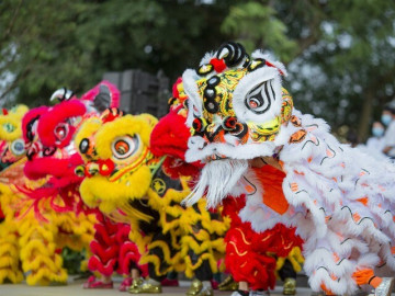 Đội múa lân chạy 18 show/ngày, Trung thu làm không hết việc
