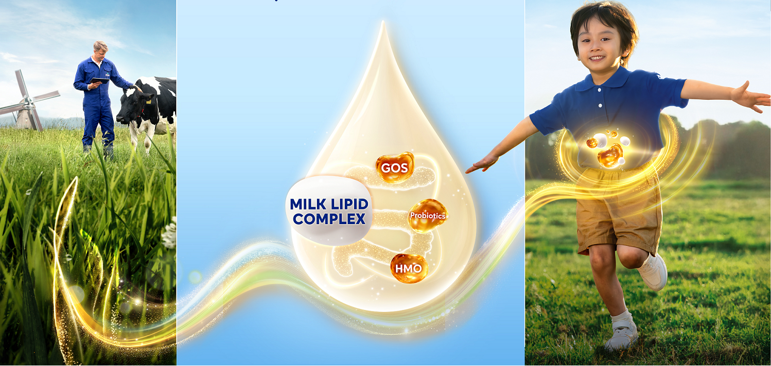 Bộ dưỡng chất Milk Lipid Complex cùng HMO, GOS amp; Probiotics trong Friso® Pro 3 mang đến nguồn sữa tăng sức đề kháng cho bé, hỗ trợ tiêu hóa và hấp thu dưỡng chất.