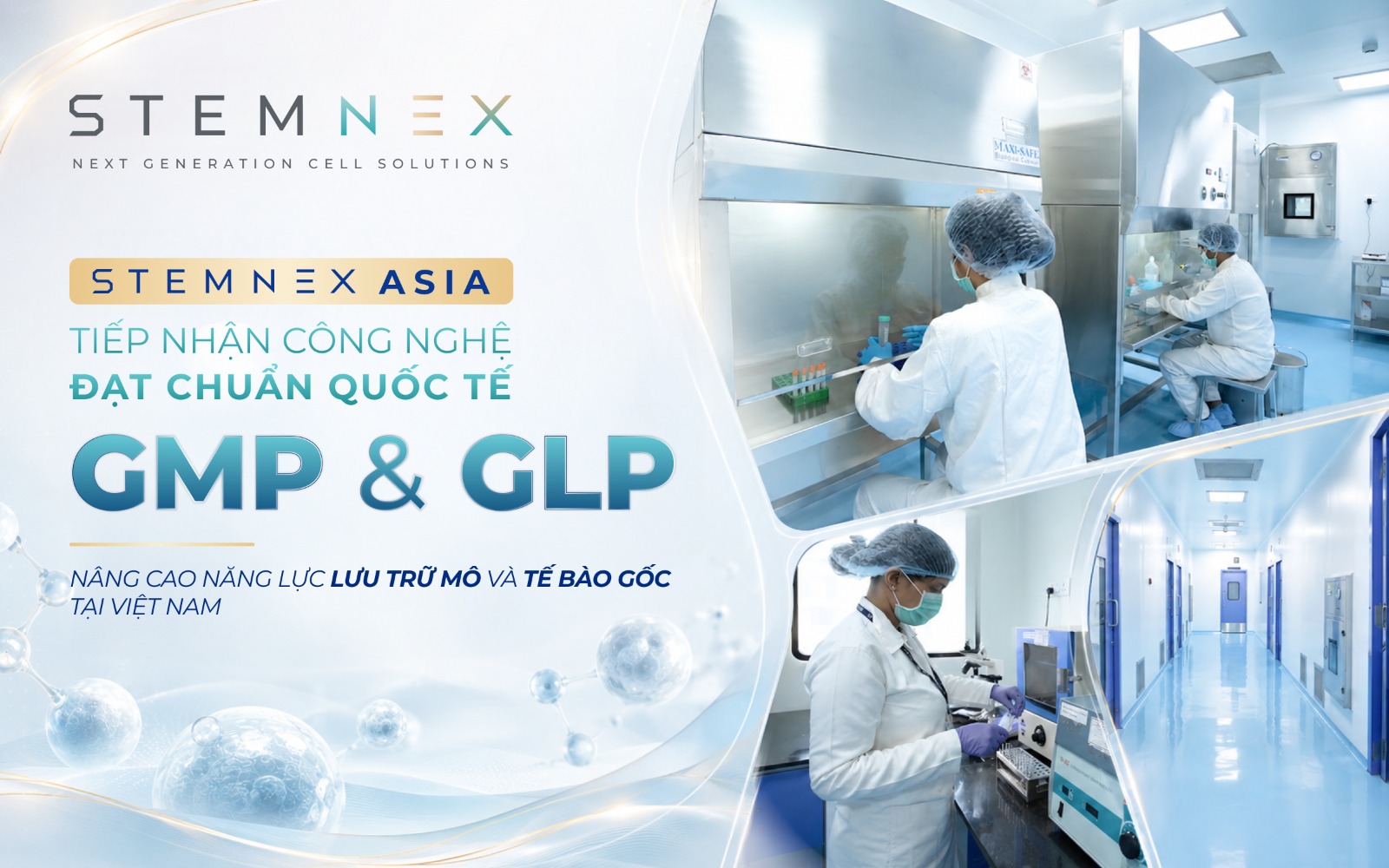 StemNex Asia tiếp nhận công nghệ lưu trữ tế bào gốc đạt chuẩn quốc tế GMP và GLP - 1