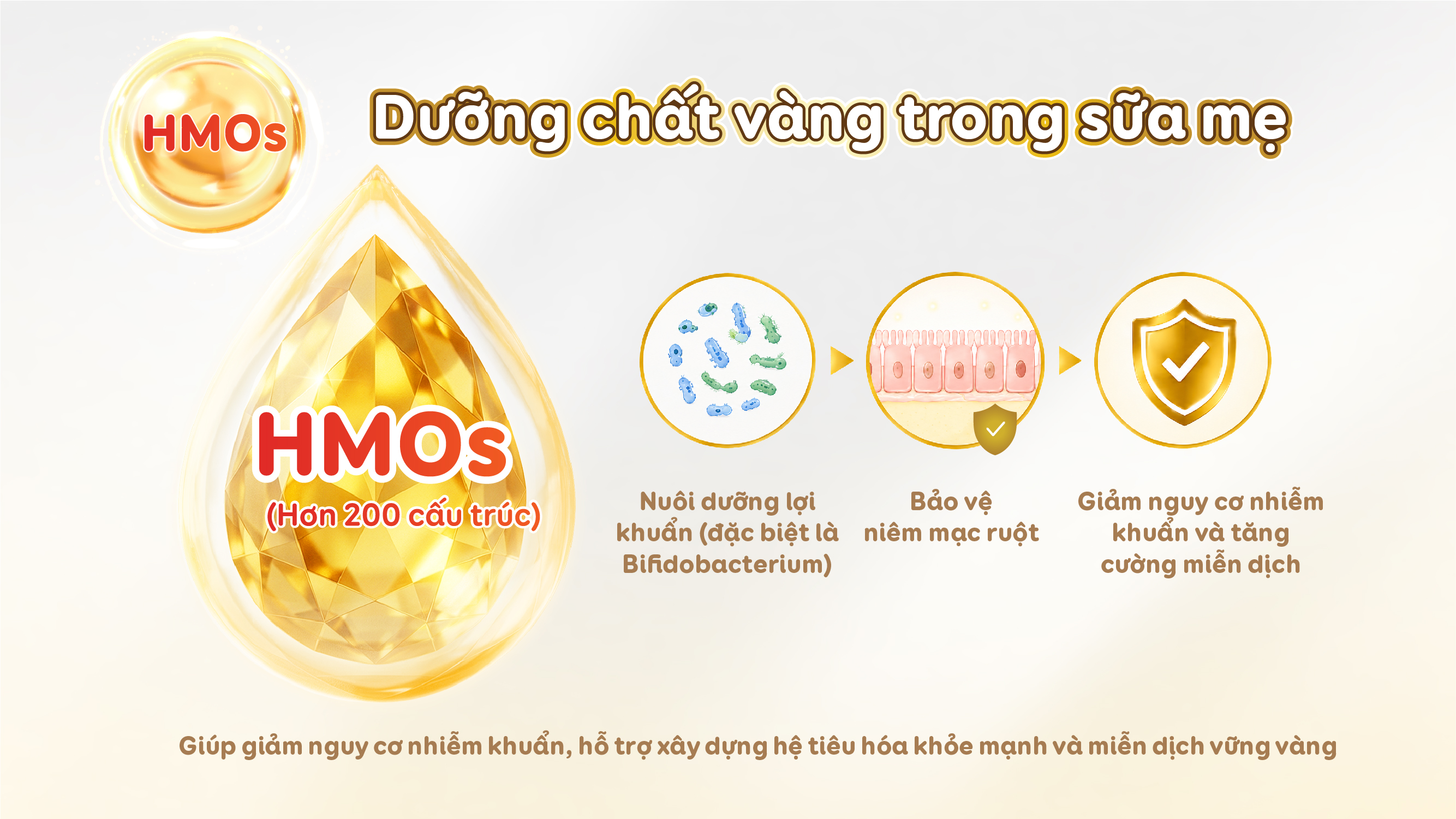 HMOs là dưỡng chất quan trọng có trong sữa mẹ, hỗ trợ cân bằng hệ vi sinh và tăng cường miễn dịch cho trẻ sinh mổ