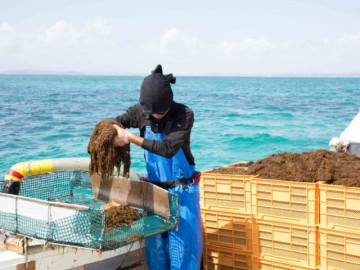 Giải pháp chăm sóc sức khỏe tự nhiên được nhiều người tin dùng