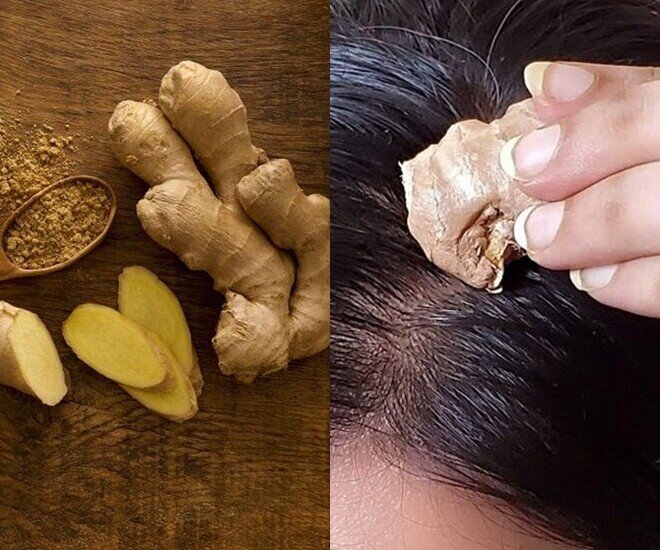 Gừng được nhiều người dùng để chăm sóc tóc nhờ khả năng hỗ trợ làm sạch da đầu, kích thích tuần hoàn máu và góp phần giảm gãy rụng, giúp tóc khỏe hơn.