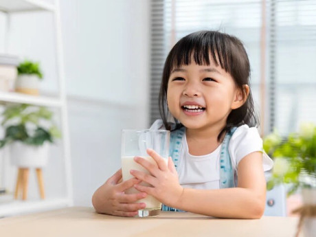 Để phát triển trí não của trẻ cần bổ sung dinh dưỡng thế nào? Đây là cách chọn sữa hạt vừa giàu dưỡng chất vừa thơm ngon, giúp trẻ thích uống mỗi ngày