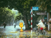 Tin tức - Siêu bão Dolphin đang hướng đến đâu, có ảnh hưởng thời tiết ở Hà Nội không?