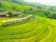 Lifestyle - 7 quán cà phê "bao trọn" ruộng lúa chín ở Sa Pa