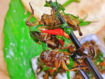 13 đặc sản nổi tiếng Đồng Nai, có món thoạt nhìn đã sợ nhưng vô cùng béo ngậy, thơm ngon, giá từ 50.000 đ/phần