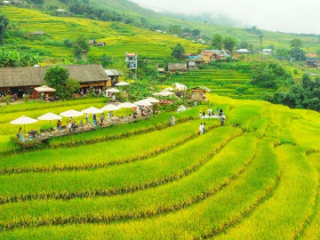 7 quán cà phê bao trọn ruộng lúa chín ở Sa Pa