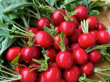 Sức khỏe - 12 loại rau củ quả màu đỏ giàu vitamin và chất chống oxy hóa, ở chợ Việt bán nhiều, giá từ 25.000 đồng/kg