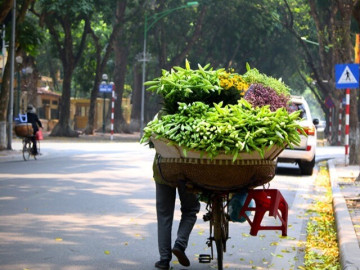 Tin tức - Miền Bắc nắng nhẹ trước khi đón không khí lạnh