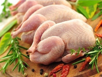 Sức khỏe - Thịt gà và thịt vịt đều được WHO xếp hạng tốt trên thế giới, nhưng ăn thường xuyên loại nào thì tốt hơn?