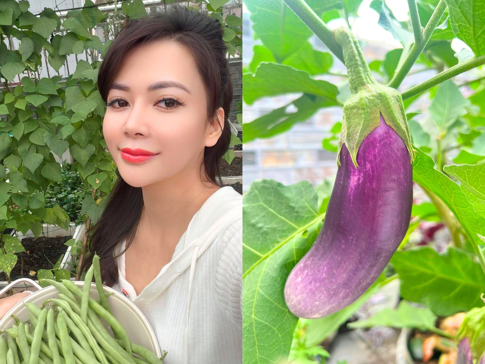 Mẹ đảm Bắc Ninh ban ngày làm nữ bác sĩ xinh đẹp, tối lên sân thượng làm nông dân, trồng khu vườn 50 triệu đẹp ngất ngây - 13