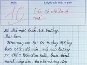 Yêu con - Bài văn tả một buổi sáng đến trường của học sinh đạt điểm 10 tuyệt đối, lời phê của cô giáo gây xúc động