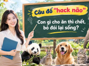 Câu đố 9/10 người trả lời sai: Con gì cho ăn thì chết, bỏ đói lại sống?