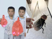 Trường tổ chức thi làm lồng đèn Trung thu, loạt “siêu phẩm” của phụ huynh và học sinh khiến dân mạng cười bò