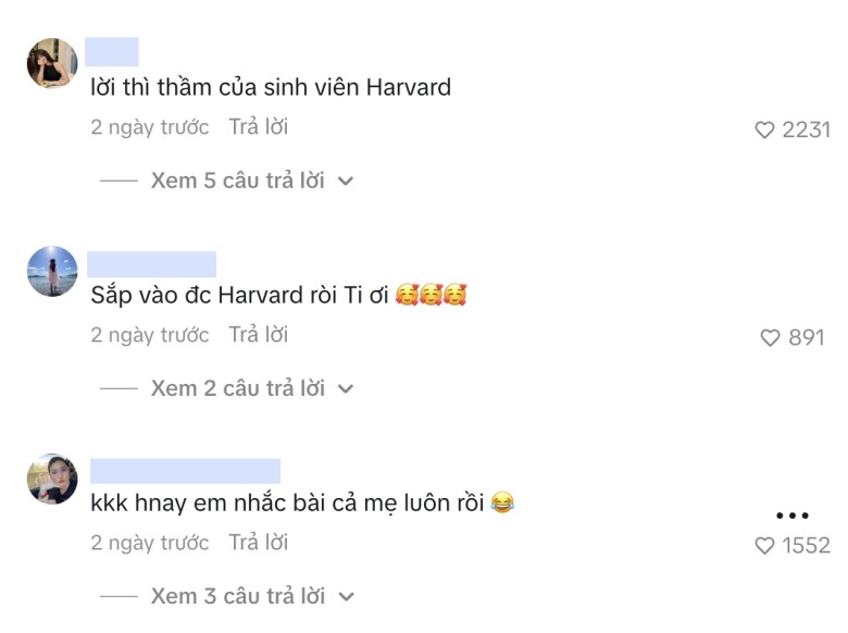 Dân mạng để lại bình luận hài hước dưới video của mẹ con nàng hậu.