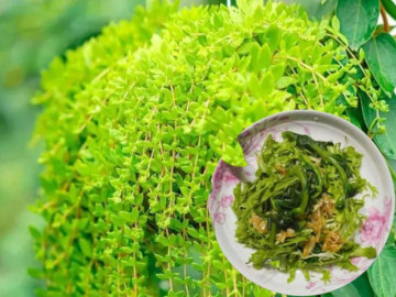 Nhà đẹp - 2 loại cây cảnh vừa đẹp vừa ăn được như rau, trồng ban công cực dễ, chẳng cần chăm nhiều
