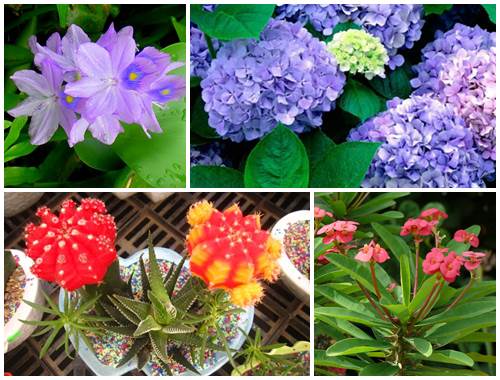 Điểm danh “sát thủ” trong nhà đối với trẻ nhỏ - 1