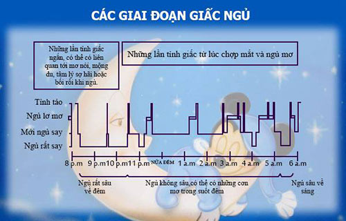 Chuẩn thời gian ngủ của trẻ sơ sinh theo tháng tuổi - 2