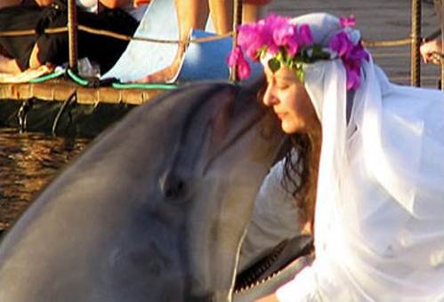 15 đám cưới kỳ quặc nhất thế giới - 5