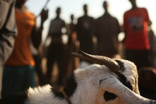 15 đám cưới kỳ quặc nhất thế giới - 6