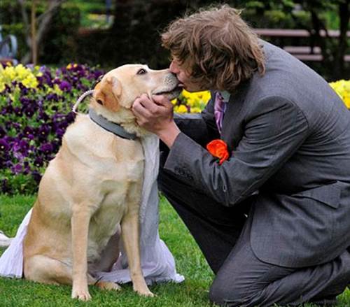 15 đám cưới kỳ quặc nhất thế giới - 7