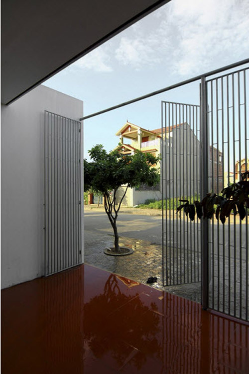 Nghệ An: Vợ chồng nghỉ hưu xây nhà xanh mướt mặt tiền rau - 7